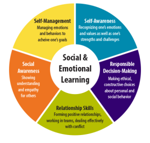 Social and emotional learning
